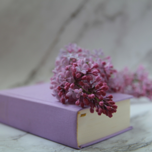 IlluminatedLens Photography